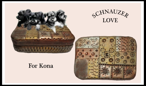 2017 schnauzer box for Kona